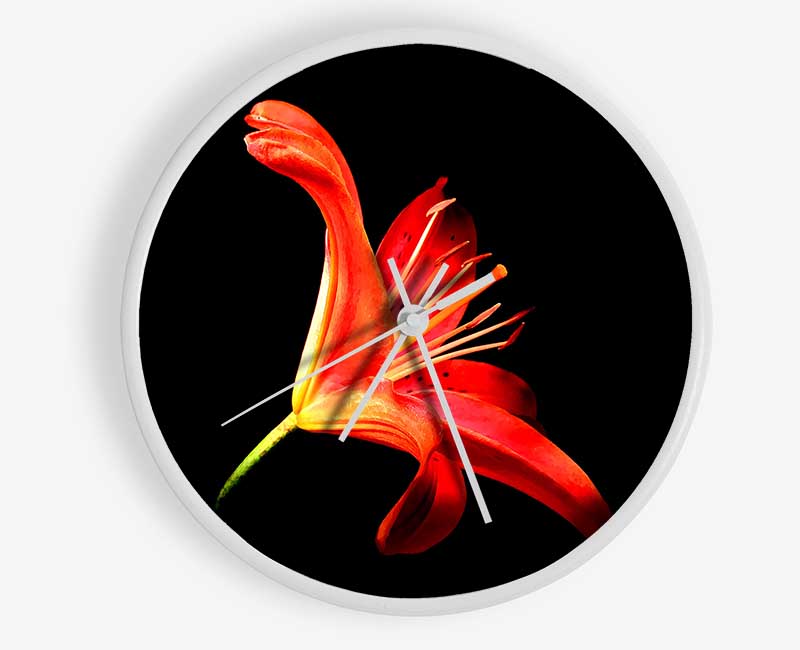 Flower In Space Clock - Wallart-Direct UK