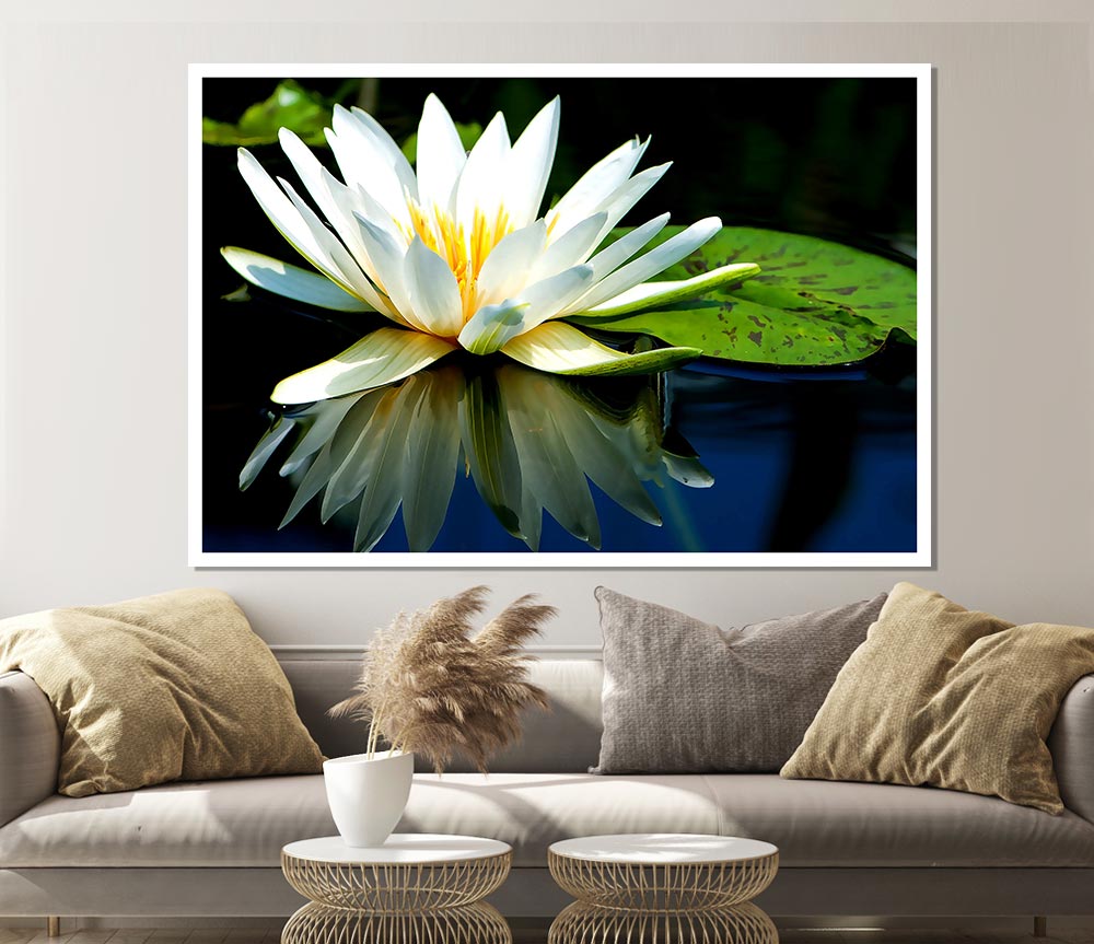 White Water Lily Reflection Print Poster Wall Art