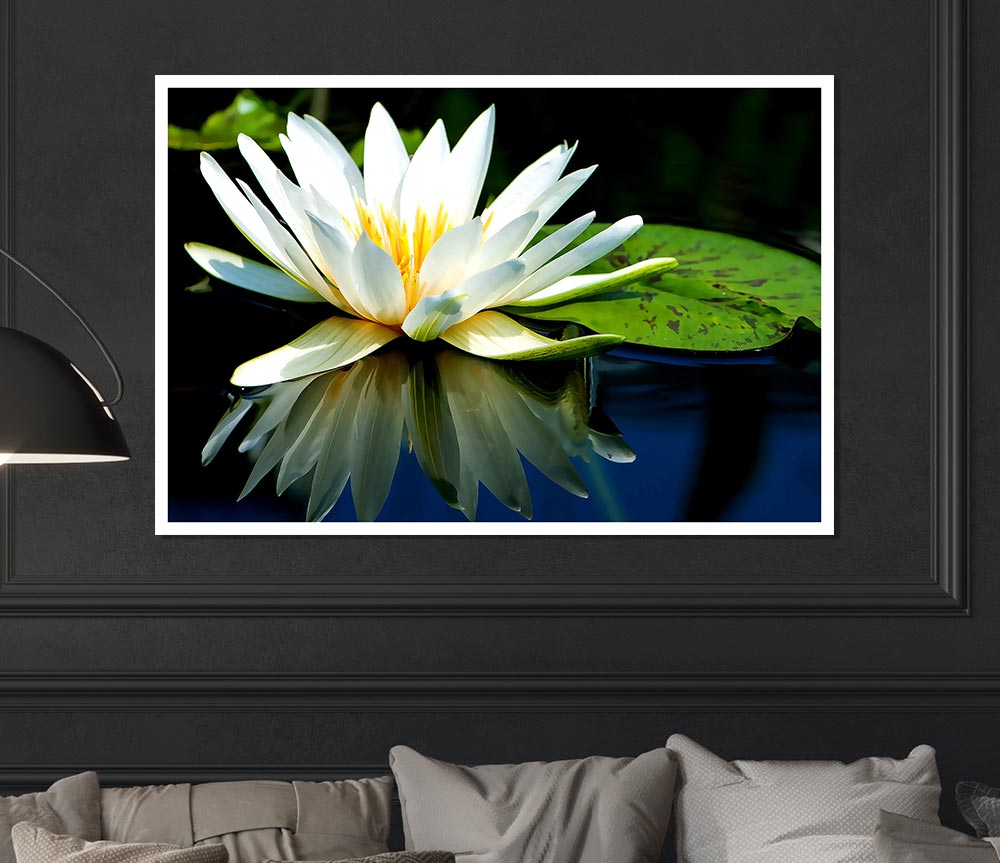 White Water Lily Reflection Print Poster Wall Art