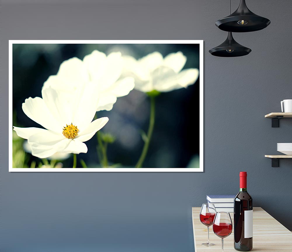 Beautiful Soft White Petals Print Poster Wall Art