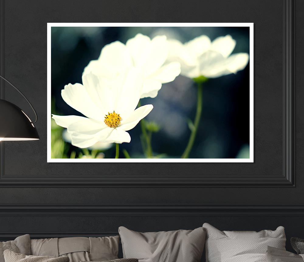 Beautiful Soft White Petals Print Poster Wall Art