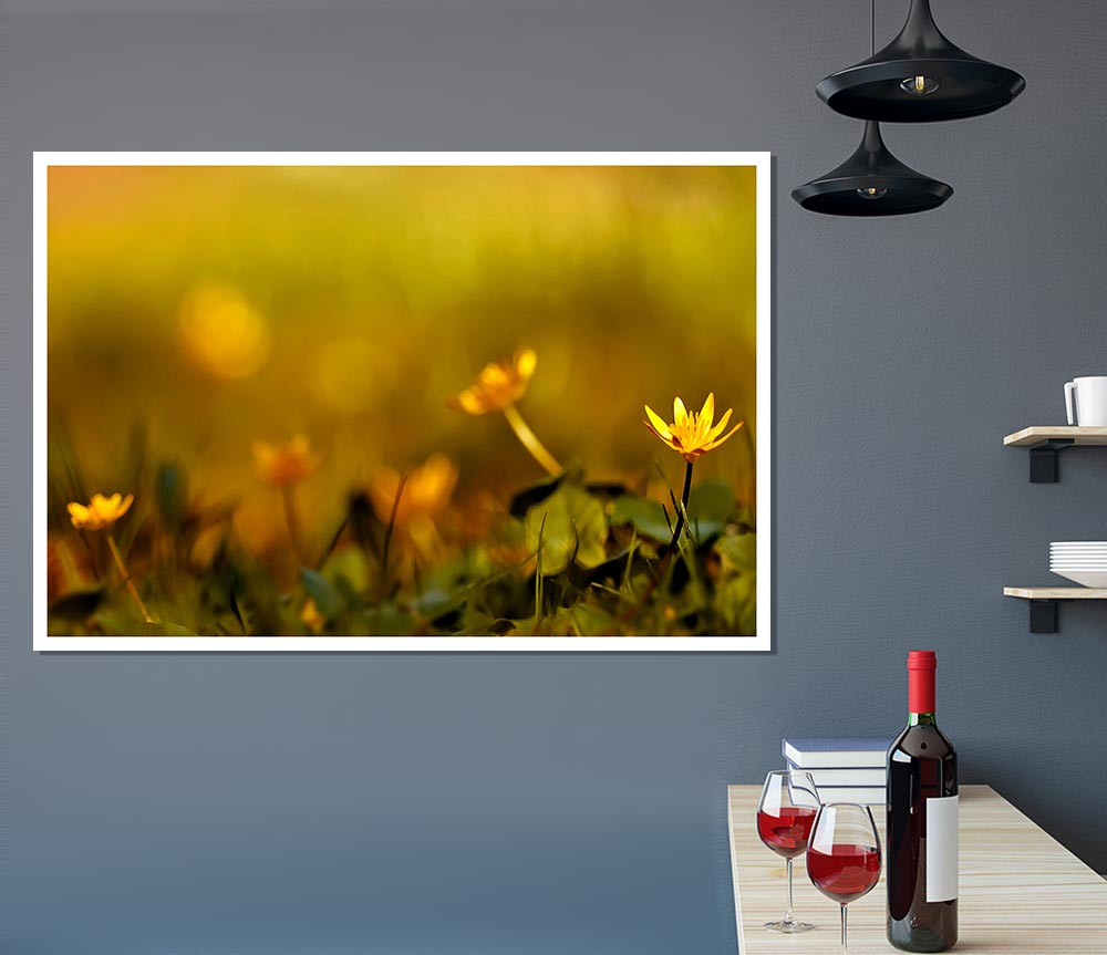 Yellow Flowers In The Golden Sun Print Poster Wall Art