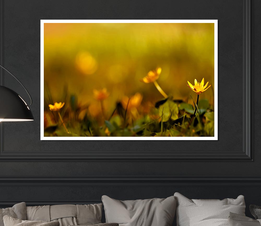 Yellow Flowers In The Golden Sun Print Poster Wall Art