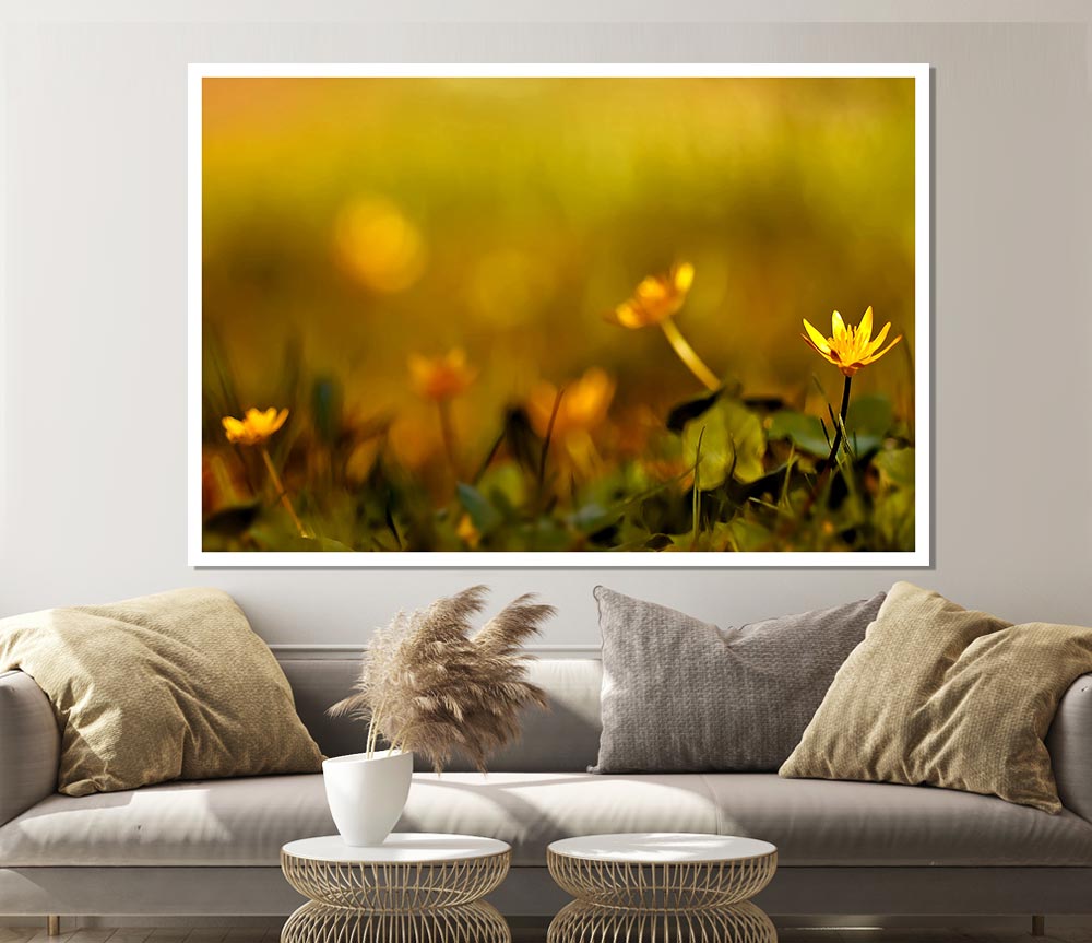 Yellow Flowers In The Golden Sun Print Poster Wall Art