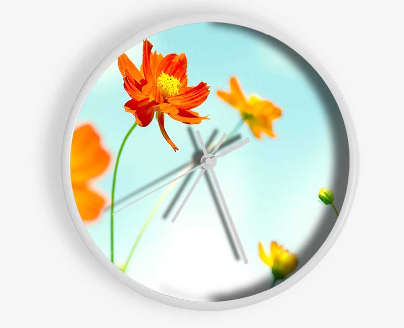 Perfect Flower Clock - Wallart-Direct UK