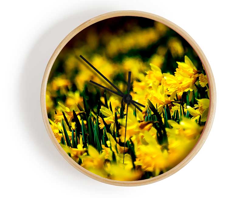 Yellow Daffodil Field Clock - Wallart-Direct UK