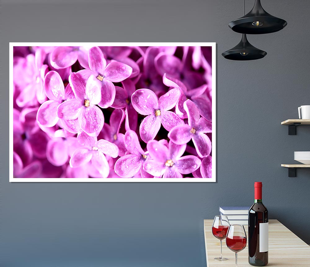 Lilac Flowers Macro Print Poster Wall Art