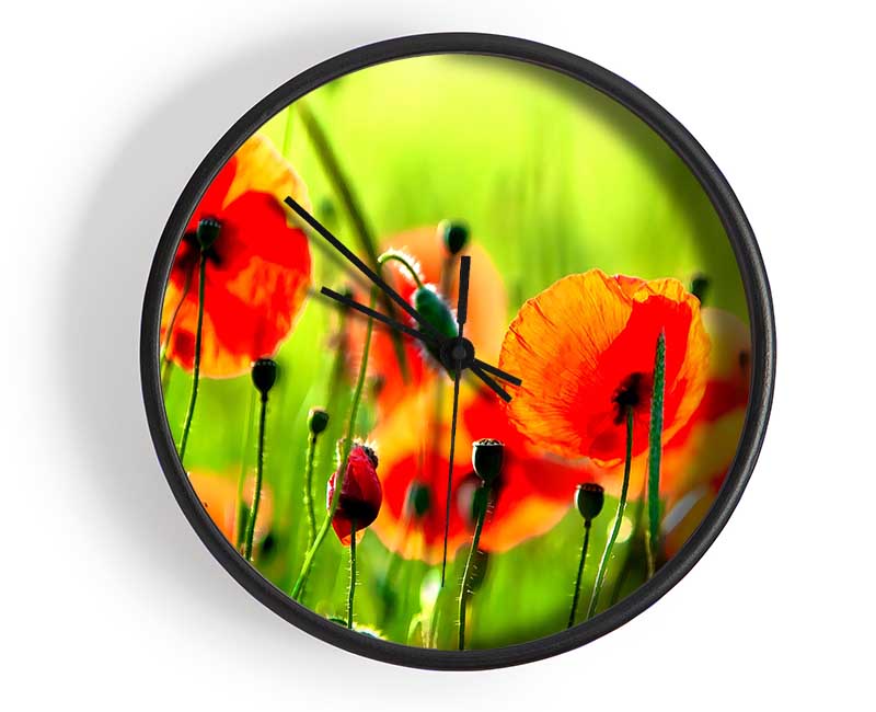 Beautiful Poppies Clock - Wallart-Direct UK