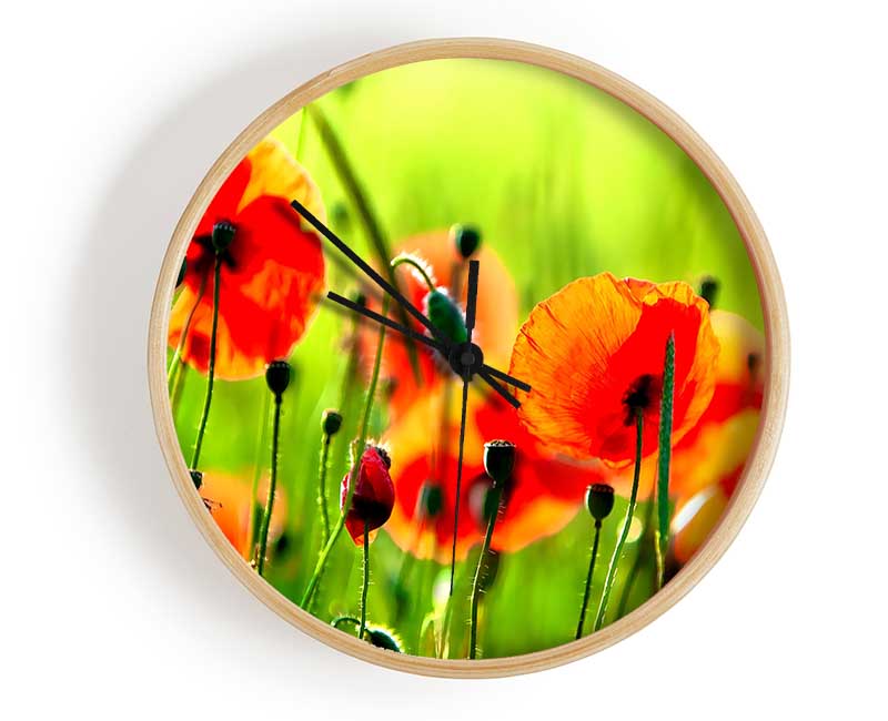 Beautiful Poppies Clock - Wallart-Direct UK