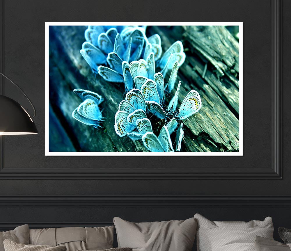 Blue Butterflies Print Poster Wall Art