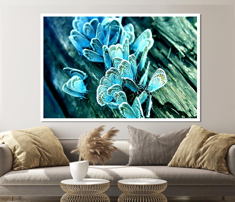 Blue Butterflies Print Poster Wall Art