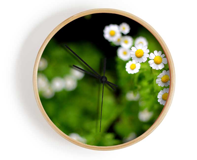 Floral Delight Clock - Wallart-Direct UK