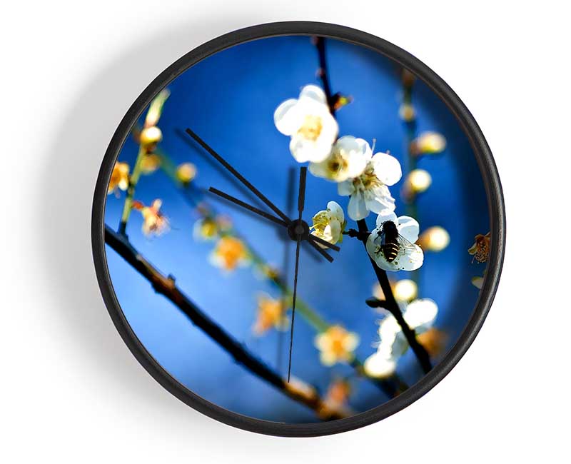 Bee On White Flowers Clock - Wallart-Direct UK