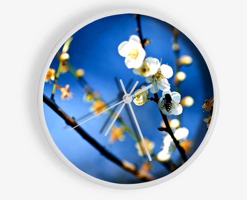 Bee On White Flowers Clock - Wallart-Direct UK