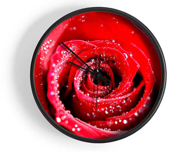 Water Drops On Red Rose Clock - Wallart-Direct UK