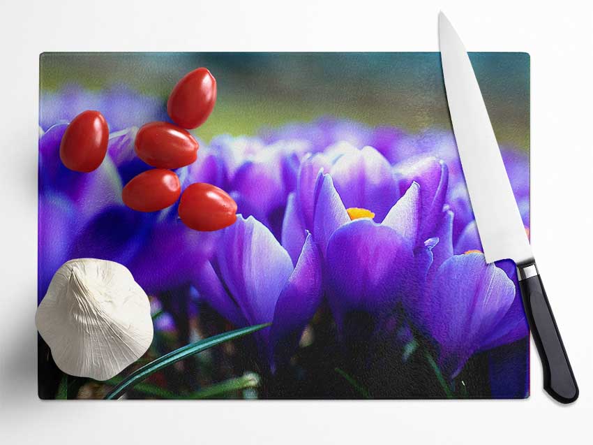 Purple Crocus Garden Glass Chopping Board