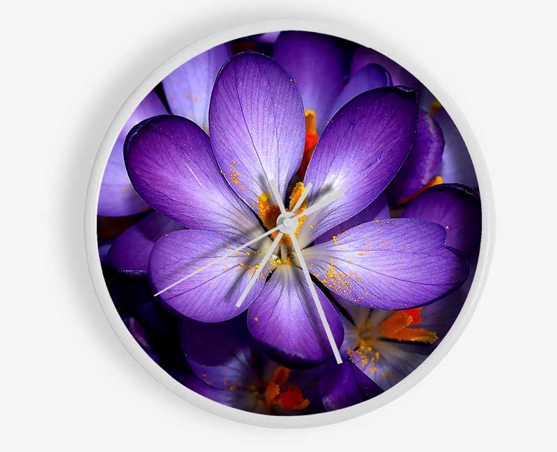 Autumn Purple Crocus Clock - Wallart-Direct UK