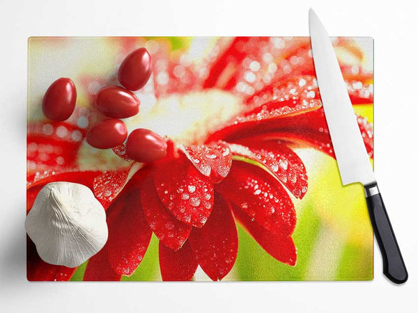 Amazing Red Flower Glass Chopping Board