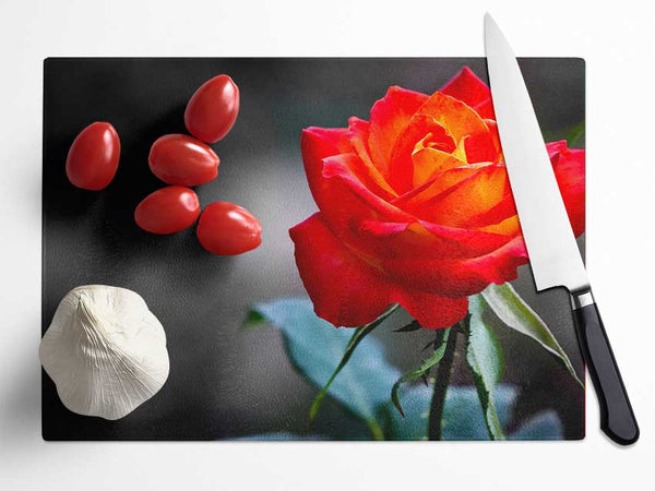 Orange Rose On Black Glass Chopping Board