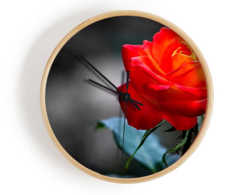 Orange Rose On Black Clock - Wallart-Direct UK