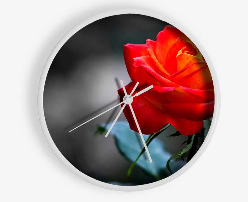 Orange Rose On Black Clock - Wallart-Direct UK