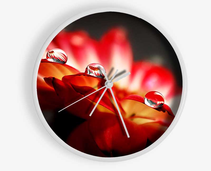 Macro Drops Clock - Wallart-Direct UK