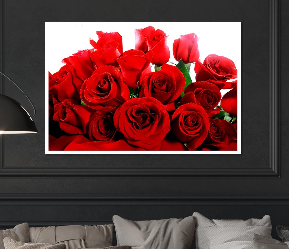 Lovely Red Roses Print Poster Wall Art