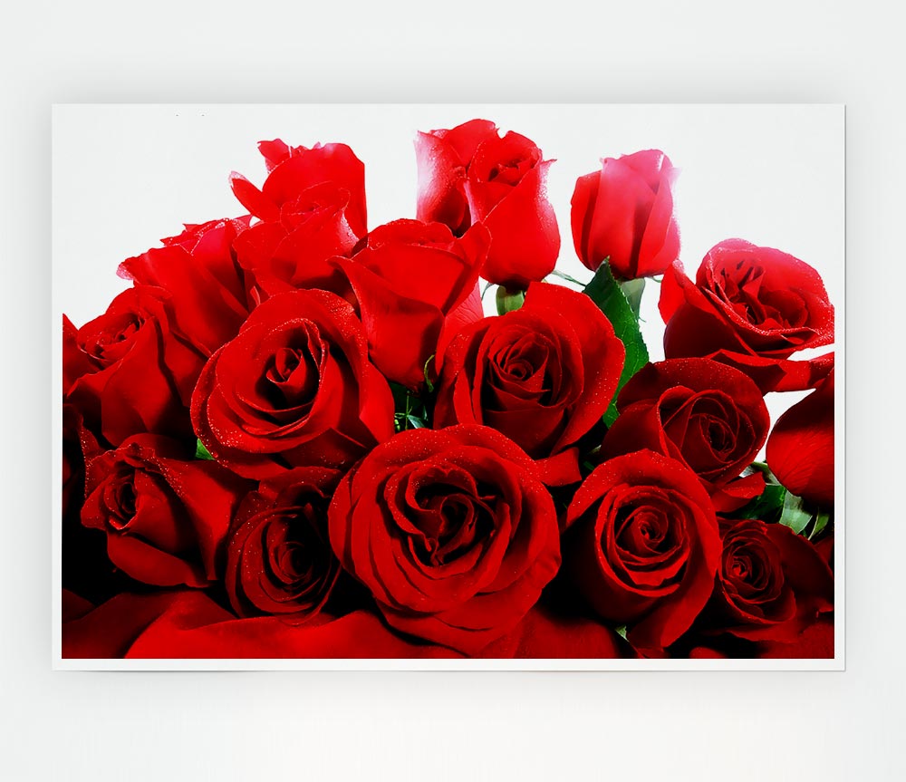 Lovely Red Roses Print Poster Wall Art