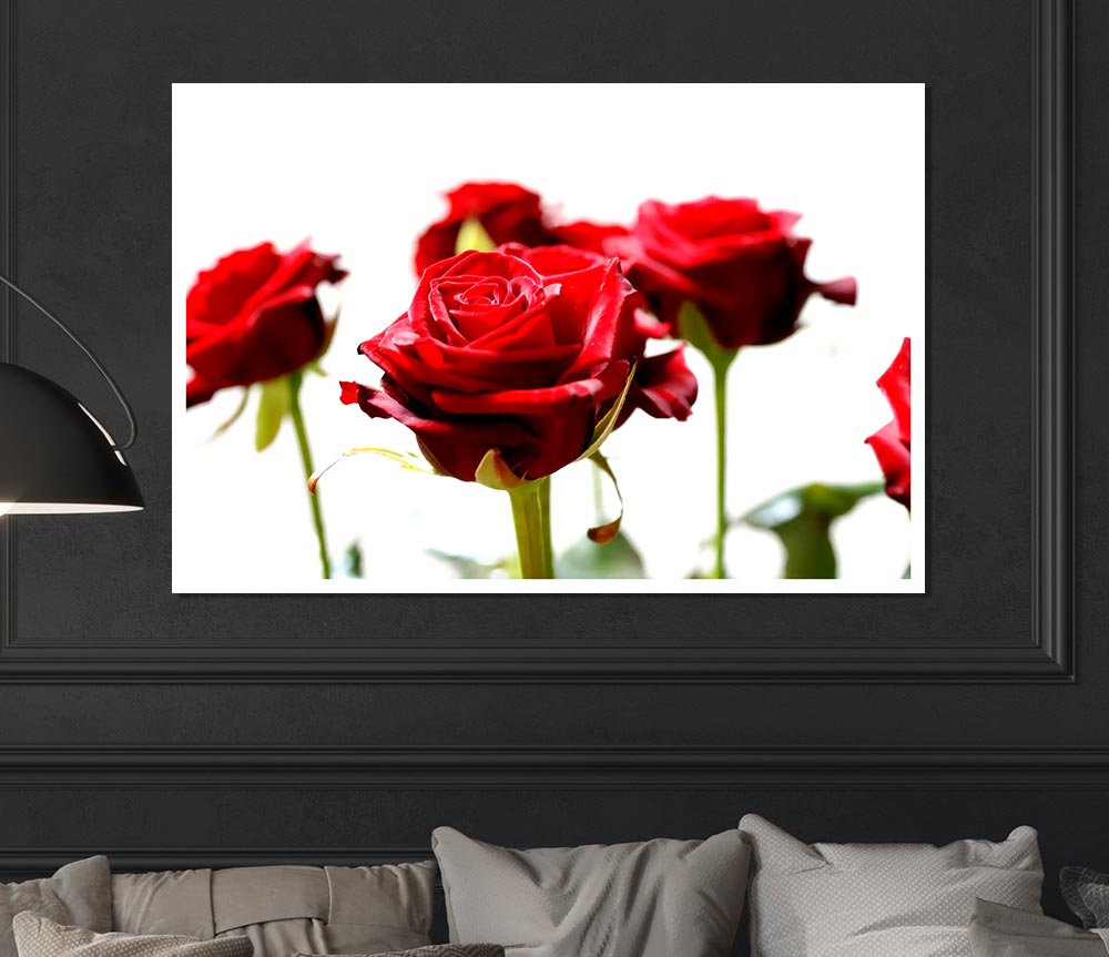 Long Stem Red Roses Print Poster Wall Art