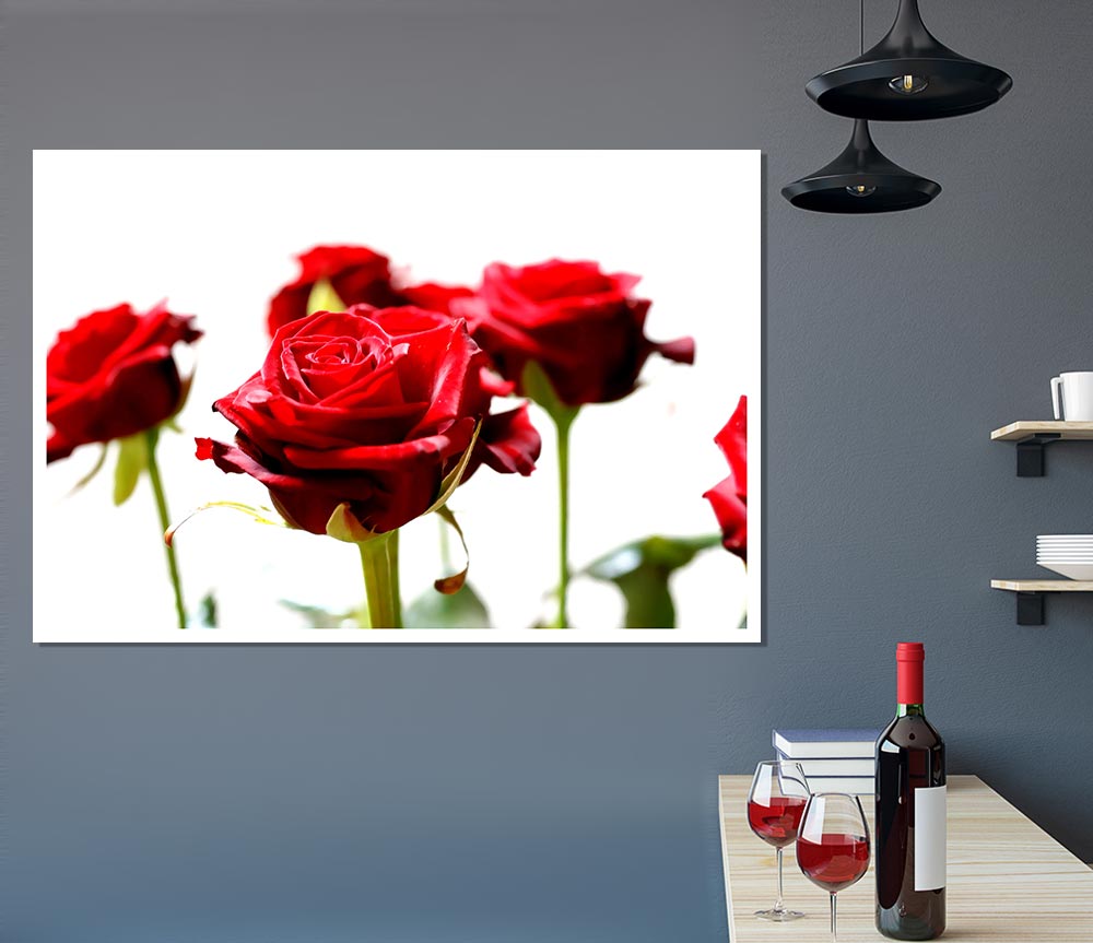 Long Stem Red Roses Print Poster Wall Art