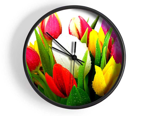 Fresh Tulips Clock - Wallart-Direct UK