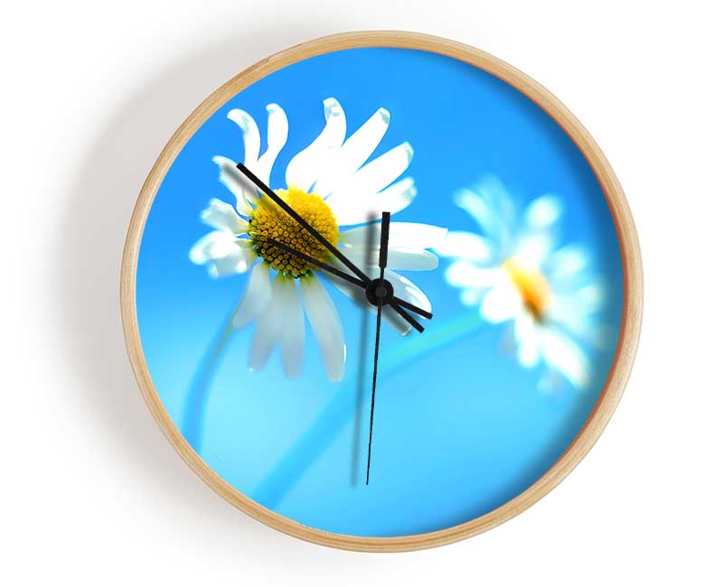 Duo Daisy Skies Clock - Wallart-Direct UK