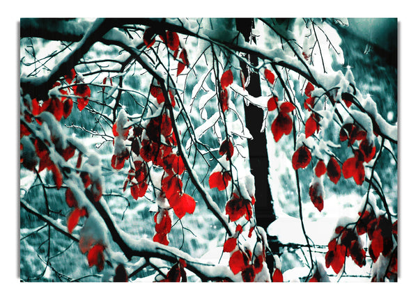 Snow Leaves