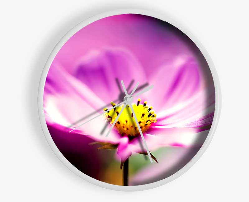 Purple Cosmos Flower Clock - Wallart-Direct UK