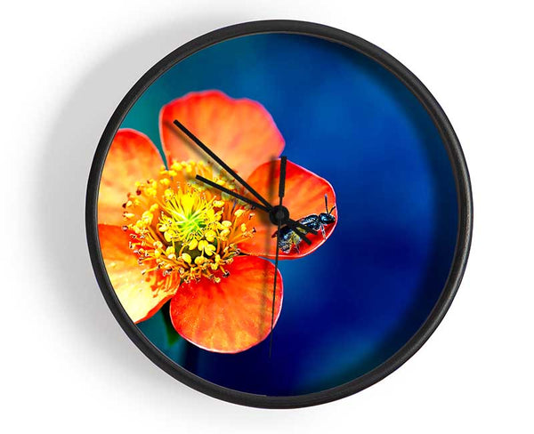 Pollen Overdose Clock - Wallart-Direct UK