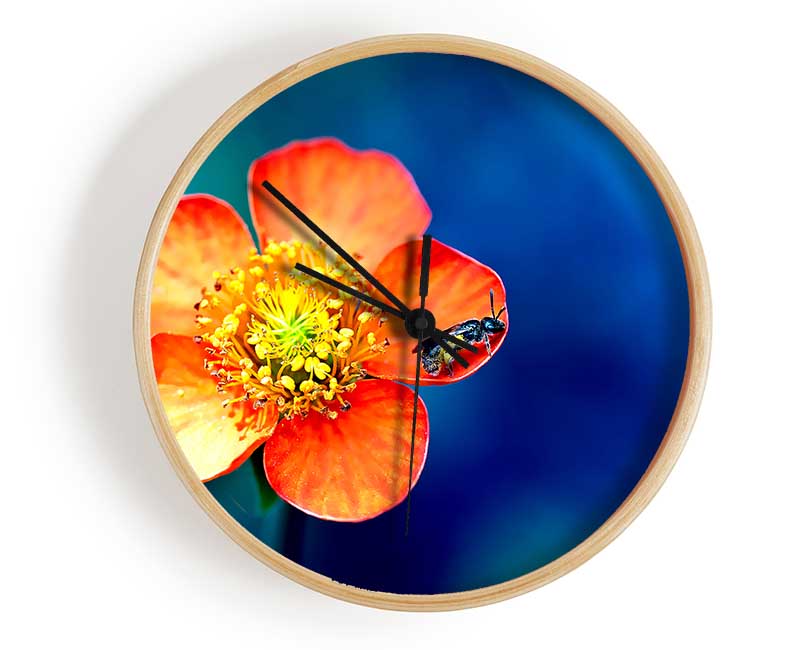 Pollen Overdose Clock - Wallart-Direct UK