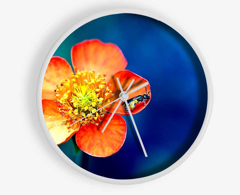 Pollen Overdose Clock - Wallart-Direct UK