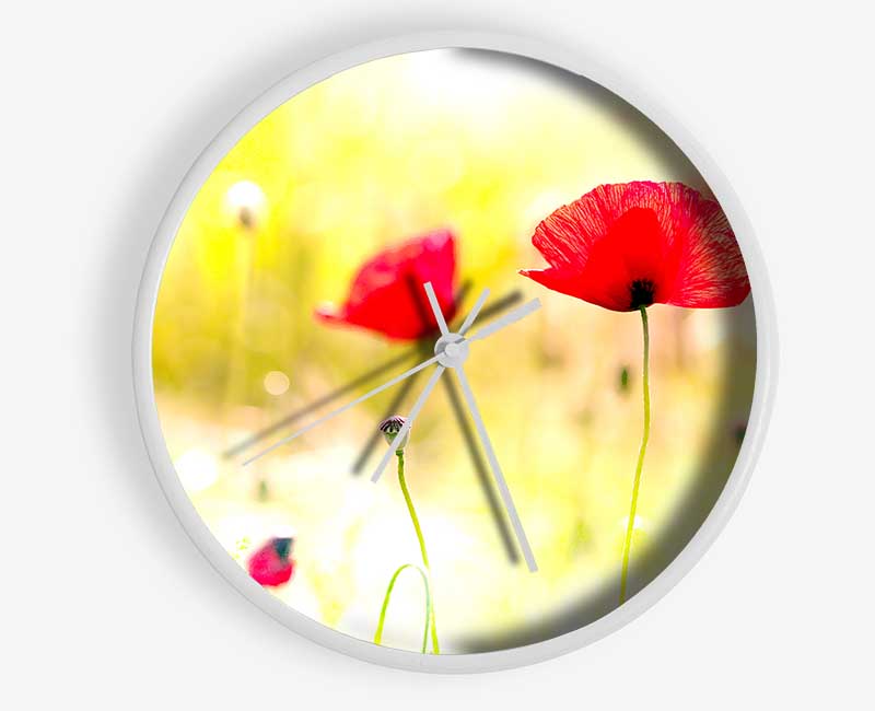 Poppy Sunlight Clock - Wallart-Direct UK