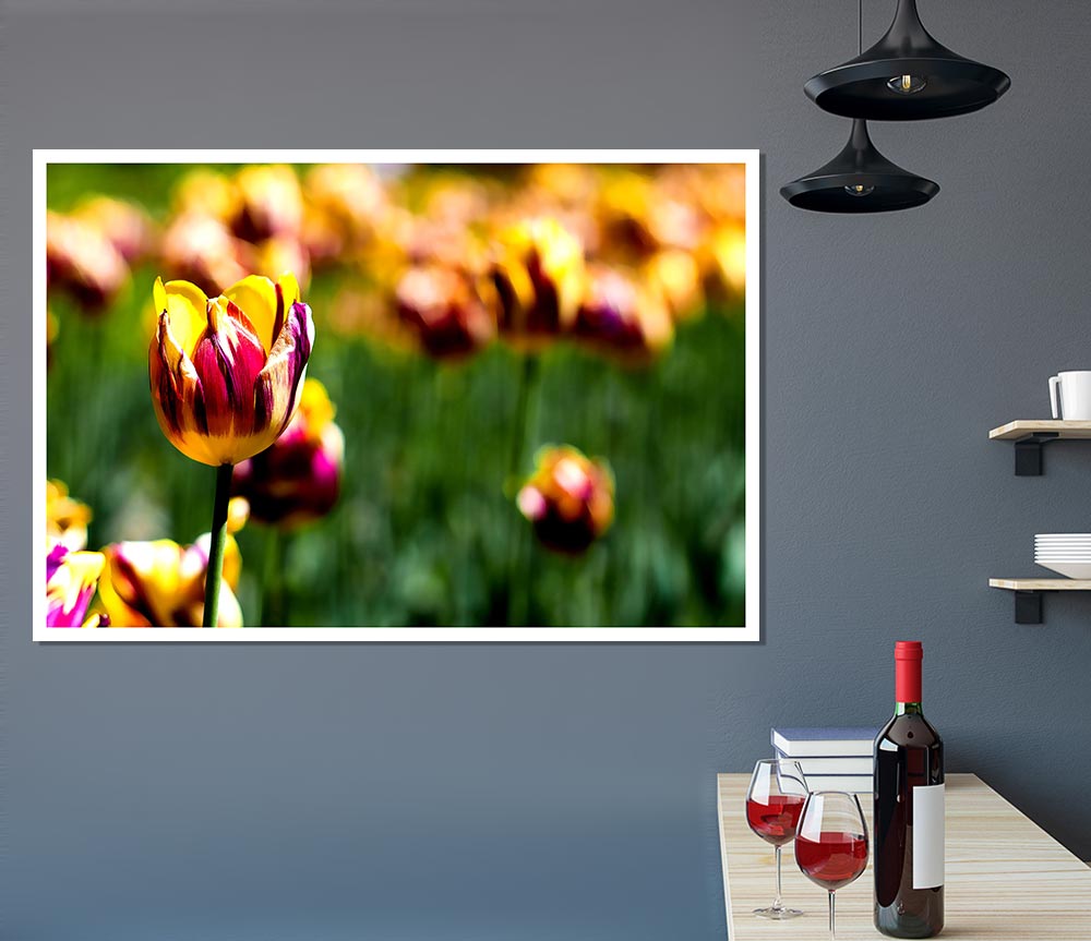 Botanical Garden Tulips Print Poster Wall Art