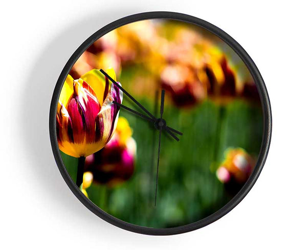 Botanical Garden Tulips Clock - Wallart-Direct UK