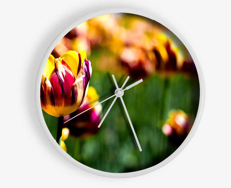 Botanical Garden Tulips Clock - Wallart-Direct UK