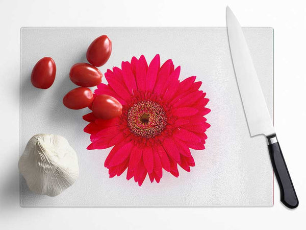 Cerise Gerbera Glass Chopping Board