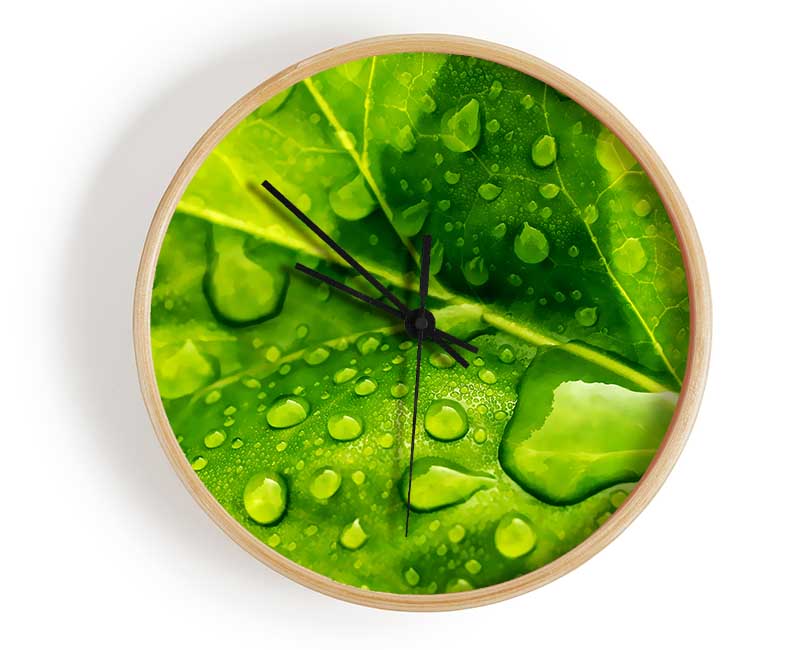 Dewdrop Leaves Clock - Wallart-Direct UK