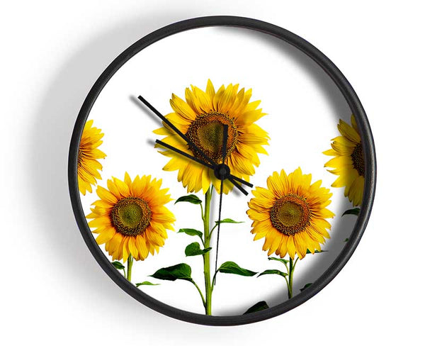 Sunflower Mayhem Clock - Wallart-Direct UK