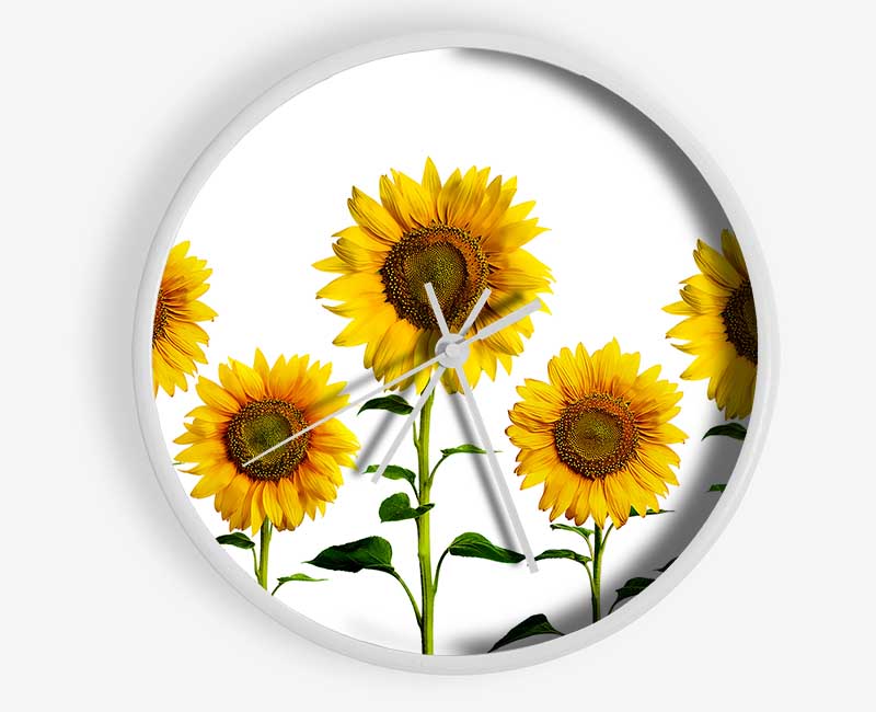 Sunflower Mayhem Clock - Wallart-Direct UK