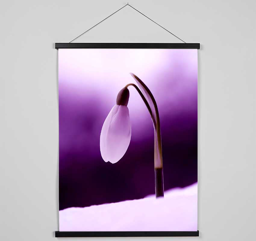 Purple Snowdrop Hanging Poster - Wallart-Direct UK