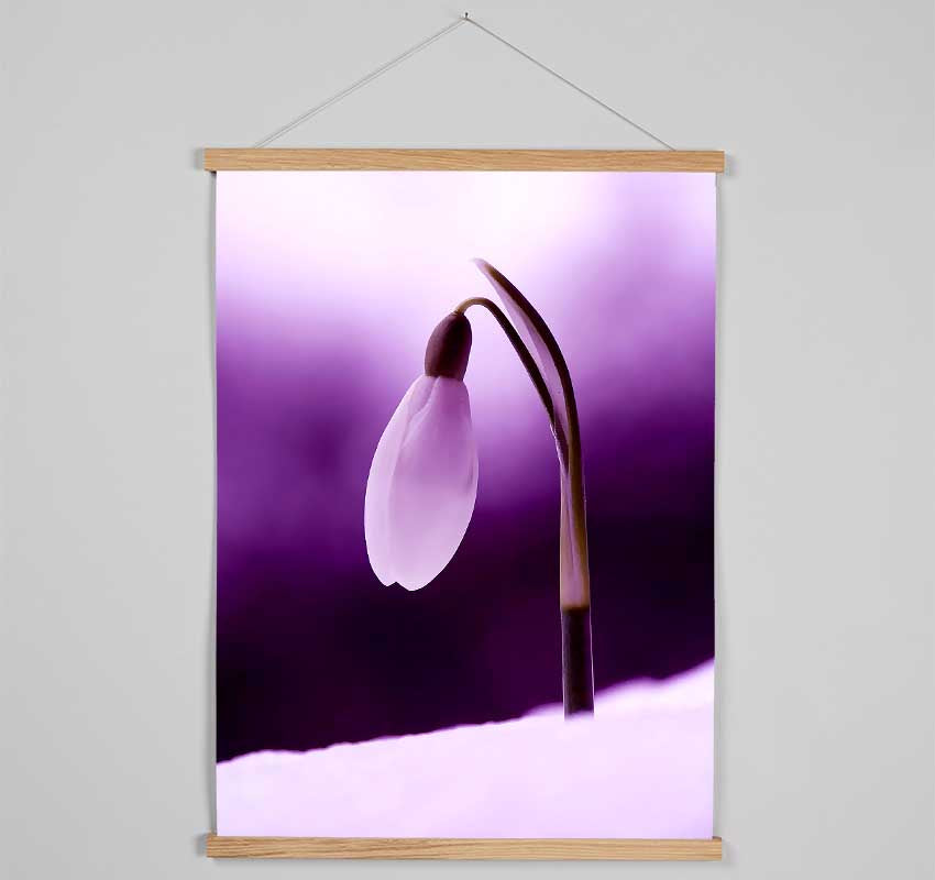 Purple Snowdrop Hanging Poster - Wallart-Direct UK