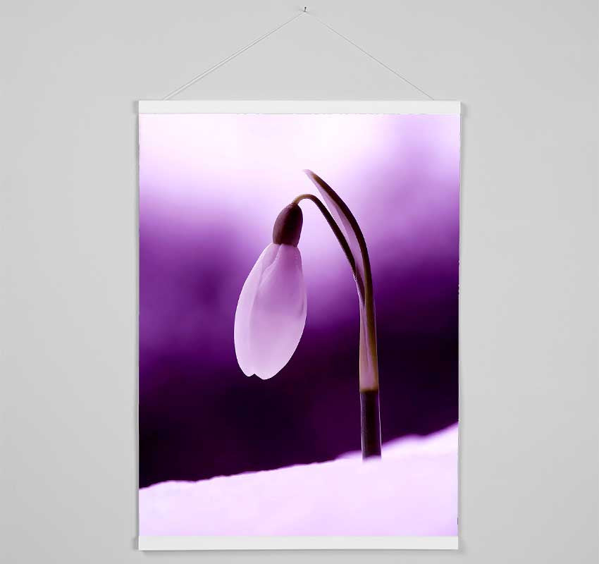 Purple Snowdrop Hanging Poster - Wallart-Direct UK