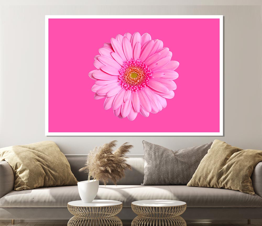 Baby Pink On Pink Gerbera Print Poster Wall Art