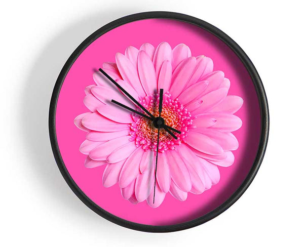 Baby Pink On Pink Gerbera Clock - Wallart-Direct UK